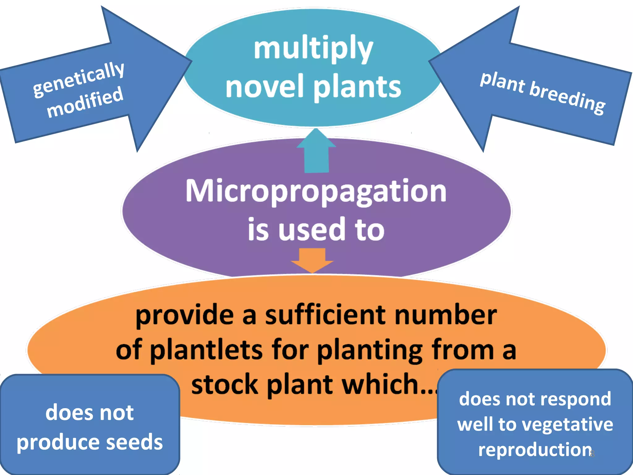 genetically
modified
plant breeding
does not
produce seeds
does not respond
well to vegetative
reproduction8
 