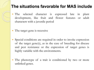 The situations favorable for MAS include
 The selected character is expressed late in plant
development, like fruit and flower features or adult
characters with a juvenile period
 The target gene is recessive
 Special conditions are required in order to invoke expression
of the target gene(s), as in the case of breeding for disease
and pest resistance or the expression of target genes is
highly variable with the environments.
 The phenotype of a trait is conditioned by two or more
unlinked genes.
 
