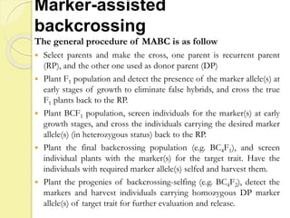 Marker-assisted
backcrossing
The general procedure of MABC is as follow
 Select parents and make the cross, one parent is recurrent parent
(RP), and the other one used as donor parent (DP)
 Plant F1 population and detect the presence of the marker allele(s) at
early stages of growth to eliminate false hybrids, and cross the true
F1 plants back to the RP.
 Plant BCF1 population, screen individuals for the marker(s) at early
growth stages, and cross the individuals carrying the desired marker
allele(s) (in heterozygous status) back to the RP.
 Plant the final backcrossing population (e.g. BC4F1), and screen
individual plants with the marker(s) for the target trait. Have the
individuals with required marker allele(s) selfed and harvest them.
 Plant the progenies of backcrossing-selfing (e.g. BC4F2), detect the
markers and harvest individuals carrying homozygous DP marker
allele(s) of target trait for further evaluation and release.
 