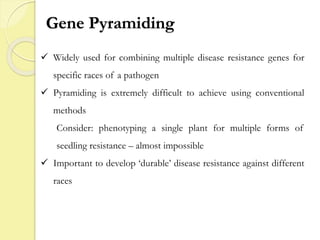 Gene Pyramiding
 Widely used for combining multiple disease resistance genes for
specific races of a pathogen
 Pyramiding is extremely difficult to achieve using conventional
methods
Consider: phenotyping a single plant for multiple forms of
seedling resistance – almost impossible
 Important to develop ‘durable’ disease resistance against different
races
 
