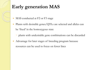 Early generation MAS
 MAS conducted at F2 or F3 stage
 Plants with desirable genes/QTLs are selected and alleles can
be ‘fixed’ in the homozygous state
◦ plants with undesirable gene combinations can be discarded
 Advantage for later stages of breeding program because
resources can be used to focus on fewer lines
 