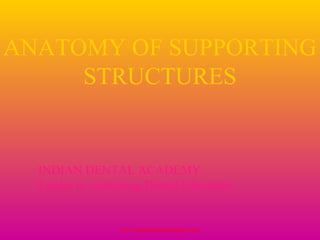 ANATOMY OF SUPPORTING
STRUCTURES
www.indiandentalacademy.com
INDIAN DENTAL ACADEMY
Leader in continuing Dental Education
 