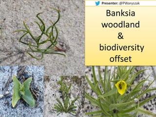 Presenter: @PWaryszak
Banksia
woodland
&
biodiversity
offset
 