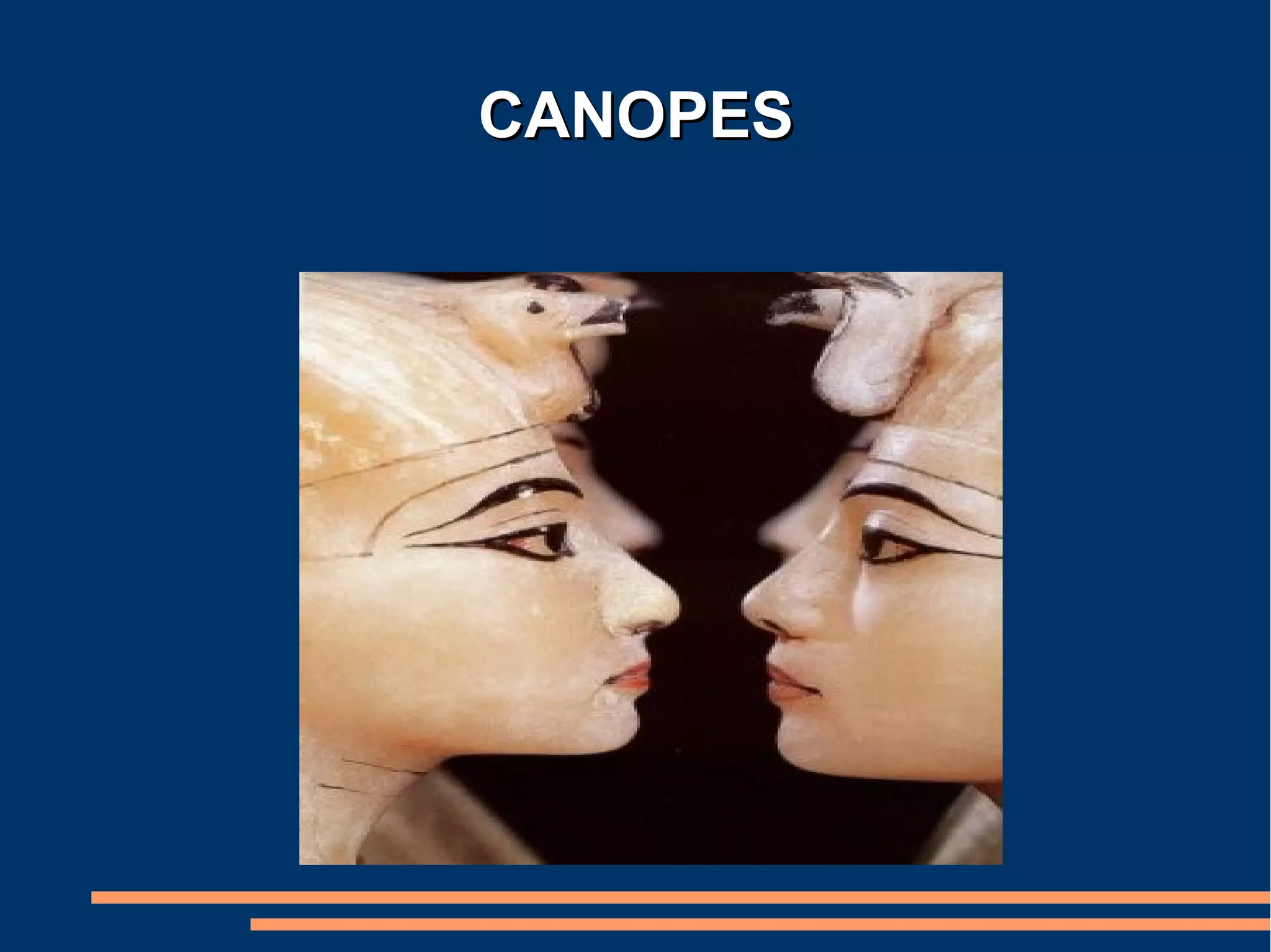 CANOPES
 