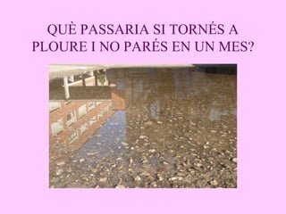 QUÈ PASSARIA SI TORNÉS A PLOURE I NO PARÉS EN UN MES? 