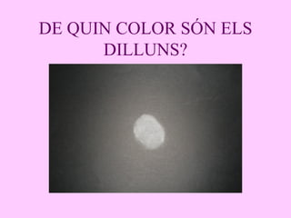 DE QUIN COLOR SÓN ELS DILLUNS? 