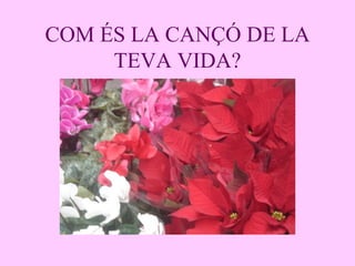 COM ÉS LA CANÇÓ DE LA TEVA VIDA? 