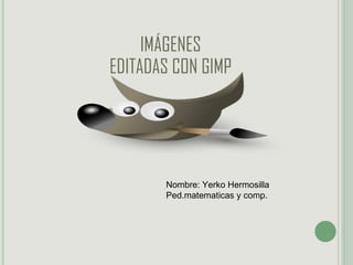 IMÁGENES EDITADAS CON GIMP Nombre: Yerko Hermosilla Ped.matematicas y comp. 