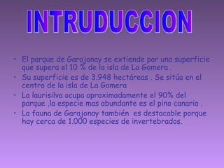El parque de Garajonay se extiende por una superficie que supera el 10 % de la isla de La Gomera . Su superficie es de 3.948 hectáreas . Se sitúa en el centro de la isla de La Gomera  La laurisilva ocupa aproximadamente el 90% del parque ,la especie mas abundante es el pino canario . La fauna de Garajonay también  es destacable porque hay cerca de 1.000 especies de invertebrados. INTRUDUCCION 