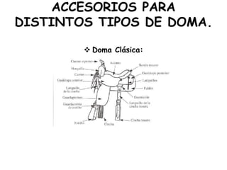 ACCESORIOS PARA
DISTINTOS TIPOS DE DOMA.
 Doma Clásica:

 