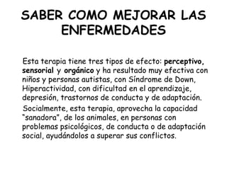SABER COMO MEJORAR LAS
ENFERMEDADES
Esta terapia tiene tres tipos de efecto: perceptivo,
sensorial y orgánico y ha resultado muy efectiva con
niños y personas autistas, con Síndrome de Down,
Hiperactividad, con dificultad en el aprendizaje,
depresión, trastornos de conducta y de adaptación.
Socialmente, esta terapia, aprovecha la capacidad
“sanadora”, de los animales, en personas con
problemas psicológicos, de conducta o de adaptación
social, ayudándolos a superar sus conflictos.

 