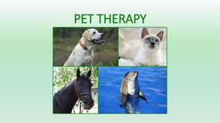 PET THERAPY
 
