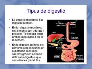 Tipus de digestió
● La digestió mecànica I la
digestió química.
● En la digestió mecànica
els aliments son triturats I
passats .Te lloc ala boca
amb la masticació I en el
moviment.
● En la digestió química els
aliments són convertits en
substància molt més
simples,gràcies a l'acció
dels sucs digestius que
secreten les glàndules.
 