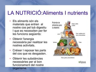 LA NUTRICIÓ:Aliments I nutrients
● Els aliments són els
materials que entren al
nostre cos pel tub digestiu
I que es necessiten per fer
les funcions següents:
● Obtenir l'energia
necessària per realitzar les
nostres activitats.
● Créixer I reposar les parts
del cos que es desgasten.
● Obtenir les substàncies
necessàries per al bon
funcionament del nostre
organisme.
 