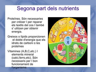 Segona part dels nutrients
Proteïnes. Són necessaries
per créixer I per reparar
els textils del cos I també
s' utilizen per obtenir
energia.
Greixos o lípids proporcionen
el doble d'energia que els
idrats de carboni o les
proteïnes
Vitamines (A,B,C,etc.) I
elements mineral
(calci,ferro,etc). Són
necessaris per l bon
funcionament de
l'organisme.
 
