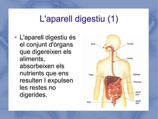 L'aparell digestiu (1)
● L'aparell digestiu és
el conjunt d'òrgans
que digereixen els
aliments,
absorbeixen els
nutrients que ens
resulten I expulsen
les restes no
digerides.
 