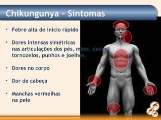• Febre alta de início rápido
• Dores intensas simétricas
nas articulações dos pés, mãos, dedos,
tornozelos, punhos e joelhos.
• Dores no corpo
• Dor de cabeça
• Manchas vermelhas
na pele
Chikungunya – Sintomas
 