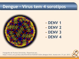 Dengue – Vírus tem 4 sorotipos
– DENV 1
– DENV 2
– DENV 3
– DENV 4
Fotografia de Purdue University. Disponível em:
https://news.uns.purdue.edu/html4ever/020307.Kuhn.dengue.html. Acesso em: 31 jul. 2013
 