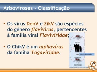 • Os vírus DenV e ZikV são espécies
do gênero flavivirus, pertencentes
à família viral Flaviviridae;
• O ChikV é um alphavírus
da família Togaviridae.
Arboviroses - Classificação
Perfil Transmissão
 