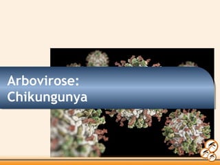Arbovirose:
Chikungunya
 