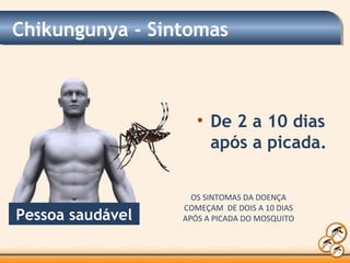 Chikungunya - Sintomas
Pessoa saudável
• De 2 a 10 dias
após a picada.
OS SINTOMAS DA DOENÇA
COMEÇAM DE DOIS A 10 DIAS
APÓS A PICADA DO MOSQUITO
 