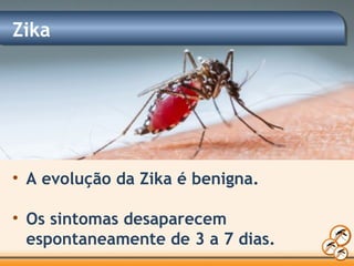 Zika
• A evolução da Zika é benigna.
• Os sintomas desaparecem
espontaneamente de 3 a 7 dias.
 