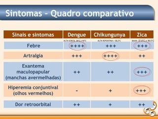 Sinais e sintomas Dengue Chikungunya Zica
Febre ++++ +++ +++
Artralgia +++ ++++ ++
Exantema
maculopapular
(manchas avermelhadas)
++ ++ +++
Hiperemia conjuntival
(olhos vermelhos) - + +++
Dor retroorbital ++ + ++
Sintomas – Quadro comparativo
ALTA REPENTINA > 38,5°CALTA SÚBITA 39°C a 40°C BAIXA 37,8°C a 38,5°C
 