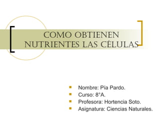 Como obtienen
nutrientes las Células
 Nombre: Pía Pardo.
 Curso: 8°A.
 Profesora: Hortencia Soto.
 Asignatura: Ciencias Naturales.
 