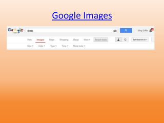 Google Images
 