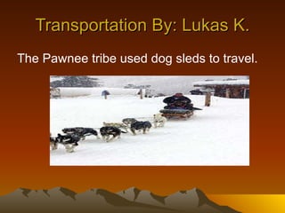 Transportation By: Lukas K. The Pawnee tribe used dog sleds to travel.  