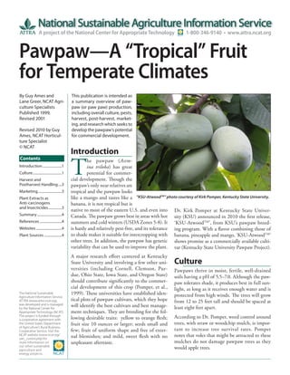 A project of the National Center for Appropriate Technology                           1-800-346-9140 • www.attra.ncat.org



Pawpaw—A “Tropical” Fruit
for Temperate Climates
By Guy Ames and                              This publication is intended as
Lane Greer, NCAT Agri-                       a summary overview of paw-
culture Specialists                          paw (or paw paw) production,
Published 1999,                              including overall culture, pests,
Revised 2001                                 harvest, post-harvest, market-
                                             ing, and research which seeks to
Revised 2010 by Guy                          develop the pawpaw’s potential
Ames, NCAT Horticul-                         for commercial development.
ture Specialist
© NCAT
                                             Introduction

                                             T
Contents                                              he pawpaw (Asim-
Introduction ......................1                  ina triloba) has great
Culture .................................1            potential for commer-
Harvest and                                  cial development. Though the
Postharvest Handling ....3                   pawpaw’s only near relatives are
Marketing ...........................3       tropical and the pawpaw looks
Plant Extracts as                            like a mango and tastes like a "KSU-AtwoodTM" photo courtesy of Kirk Pomper, Kentucky State University.
Anti-carcinogens                             banana, it is not tropical but is
and Insecticides ...............3
                                             native to most of the eastern U.S. and even into Dr. Kirk Pomper at Kentucky State Univer-
Summary ............................4        Canada. The pawpaw grows best in areas with hot sity (KSU) announced in 2010 the first release,
References .........................4        summers and cold winters (USDA Zones 5-8). It ‘KSU-AtwoodTM’, from KSU’s pawpaw breed-
Websites .............................4      is hardy and relatively pest-free, and its tolerance ing program. With a flavor combining those of
Plant Sources ....................4          to shade makes it suitable for intercropping with banana, pineapple and mango, ‘KSU-AtwoodTM’
                                             other trees. In addition, the pawpaw has genetic shows promise as a commercially available culti-
                                             variability that can be used to improve the plant. var (Kentucky State University Pawpaw Project).
                                             A major research effort centered at Kentucky
                                             State University and involving a few other uni-      Culture
                                             versities (including Cornell, Clemson, Pur-          Pawpaws thrive in moist, fertile, well-drained
                                             due, Ohio State, Iowa State, and Oregon State)       soils having a pH of 5.5−7.0. Although the paw-
                                             should contribute significantly to the commer-       paw tolerates shade, it produces best in full sun-
                                             cial development of this crop (Pomper, et al.,       light, as long as it receives enough water and is
The National Sustainable                     1999). These universities have established iden-     protected from high winds. The trees will grow
Agriculture Information Service,
ATTRA (www.attra.ncat.org),                  tical plots of pawpaw cultivars, which they hope     from 12 to 25 feet tall and should be spaced at
was developed and is managed
by the National Center for
                                             will identify the best cultivars and best manage-    least eight feet apart.
Appropriate Technology (NCAT).               ment techniques. They are breeding for the fol-
The project is funded through
a cooperative agreement with                 lowing desirable traits: yellow to orange flesh;     According to Dr. Pomper, weed control around
the United States Department                 fruit size 10 ounces or larger; seeds small and      trees, with straw or woodchip mulch, is impor-
of Agriculture’s Rural Business-
Cooperative Service. Visit the               few; fruit of uniform shape and free of exter-       tant to increase tree survival rates. Pomper
NCAT website (www.ncat.org/
                                             nal blemishes; and mild, sweet flesh with no         notes that voles that might be attracted to these
sarc_current.php) for
more information on                          unpleasant aftertaste.                               mulches do not damage pawpaw trees as they
our other sustainable
agriculture and
                                                                                                  would apple trees.
energy projects.
 