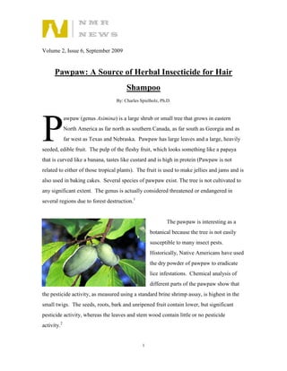 Volume 2, Issue 6, September 2009


      Pawpaw: A Source of Herbal Insecticide for Hair
                                         Shampoo
                                    By: Charles Spielholz, Ph.D.




P
             awpaw (genus Asimina) is a large shrub or small tree that grows in eastern
             North America as far north as southern Canada, as far south as Georgia and as
             far west as Texas and Nebraska. Pawpaw has large leaves and a large, heavily
seeded, edible fruit. The pulp of the fleshy fruit, which looks something like a papaya
that is curved like a banana, tastes like custard and is high in protein (Pawpaw is not
related to either of those tropical plants). The fruit is used to make jellies and jams and is
also used in baking cakes. Several species of pawpaw exist. The tree is not cultivated to
any significant extent. The genus is actually considered threatened or endangered in
several regions due to forest destruction.1


                                                              The pawpaw is interesting as a
                                                     botanical because the tree is not easily
                                                     susceptible to many insect pests.
                                                     Historically, Native Americans have used
                                                     the dry powder of pawpaw to eradicate
                                                     lice infestations. Chemical analysis of
                                                     different parts of the pawpaw show that
the pesticide activity, as measured using a standard brine shrimp assay, is highest in the
small twigs. The seeds, roots, bark and unripened fruit contain lower, but significant
pesticide activity, whereas the leaves and stem wood contain little or no pesticide
activity.2


                                                 1
 