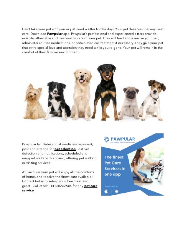 Get Best Pet Care Service at 100 Discount Pawpular App