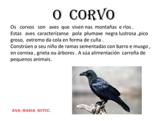 HÁBITATS: Bosques, parques e xardínsNEREA LÒPEZ MURUAIS