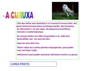 o  corvoOs   corvos   son   aves  que  viven nas  montañas  e ríos .Estas   aves  caracterízansepolaplumaxe  negra lustrosa ,pico groso,  extremo da cola en forma de cuña .Constrúen o seu niño de ramas sementadas con barro e musgo , en cornixa , grieta ouárbores . A súa alimentación  carroña de pequenosanimais.Ana- MariaButuc.