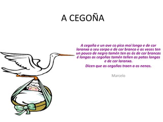 A CURUXAUha das miñas aves favoritas é a é curuxa.Á curuxa unha  das aves nocturnas que viven no bosque epréto  dos humanos . Se alimentan é  un ave rapaz. de péquenos mamíferos , insectos e roedoresporque As curuxas teñen uns ollos mo grandes e un  oido moi desarolládo  por  iso caza tan ben .Soen ter etre 3e4 crias.Teñen unhas ás e unhas plumas moyespeciais  para poder voar sen facer ruido. utilizamos E para poder acercarse silenciosa mente a su presa.nLOREA PRIETO