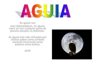 A CURUXAUha das miñas aves favoritas é a é curuxa.Á curuxa unha  das aves nocturnas que viven no bosque epréto  dos humanos . Se alimentan é  un ave rapaz. de péquenos mamíferos , insectos e roedoresporque As curuxas teñen uns ollos mo grandes e un  oido moi desarolládo  por  iso caza tan ben .Soen ter etre 3e4 crias.Teñen unhas ás e unhas plumas moyespeciais  para poder voar sen facer ruido. utilizamos E para poder acercarse silenciosa mente a su presa.nLOREA PRIETO