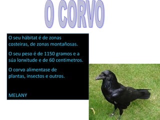 AGUIAAs aguias son aves depredadoras. As aguias viven en casi cualquier parte do planeta excepto na Atlántida .As aguias han sido utilizadas por moitos pobos como simbolo nacional mostrando tanto poderio como beleza.ALEX
