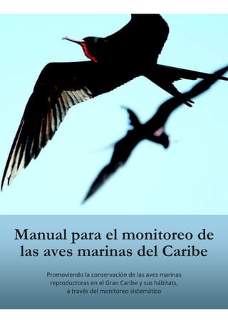 BirdsCaribbean 2018
Manual para el monitoreo de
las aves marinas del Caribe
Promoviendo la conservación de las aves marinas
reproductoras en el Gran Caribe y sus hábitats,
a través del monitoreo sistemático
 