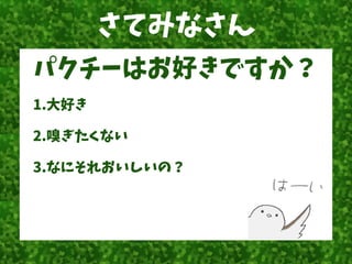 さてみなさん
パクチーはお好きですか？
1.大好き
2.嗅ぎたくない
3.なにそれおいしいの？
 