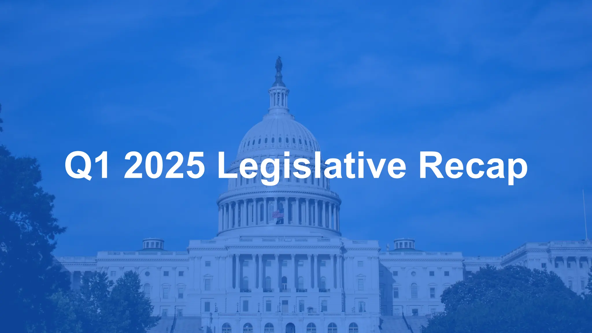 Q1 2025 Legislative Recap
 