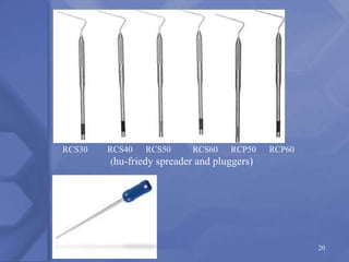 RCS30 RCS40 RCS50 RCS60 RCP50 RCP60
(hu-friedy spreader and pluggers)
20
 