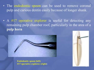 • The endodontic spoon can be used to remove coronal
pulp and carious dentin easily because of longer shank.
• A #17 operative explorer is useful for detecting any
remaining pulp chamber roof, particularly in the area of a
pulp horn
Endodontic spoon (left)
#17 operative explorer. (right)
27
 