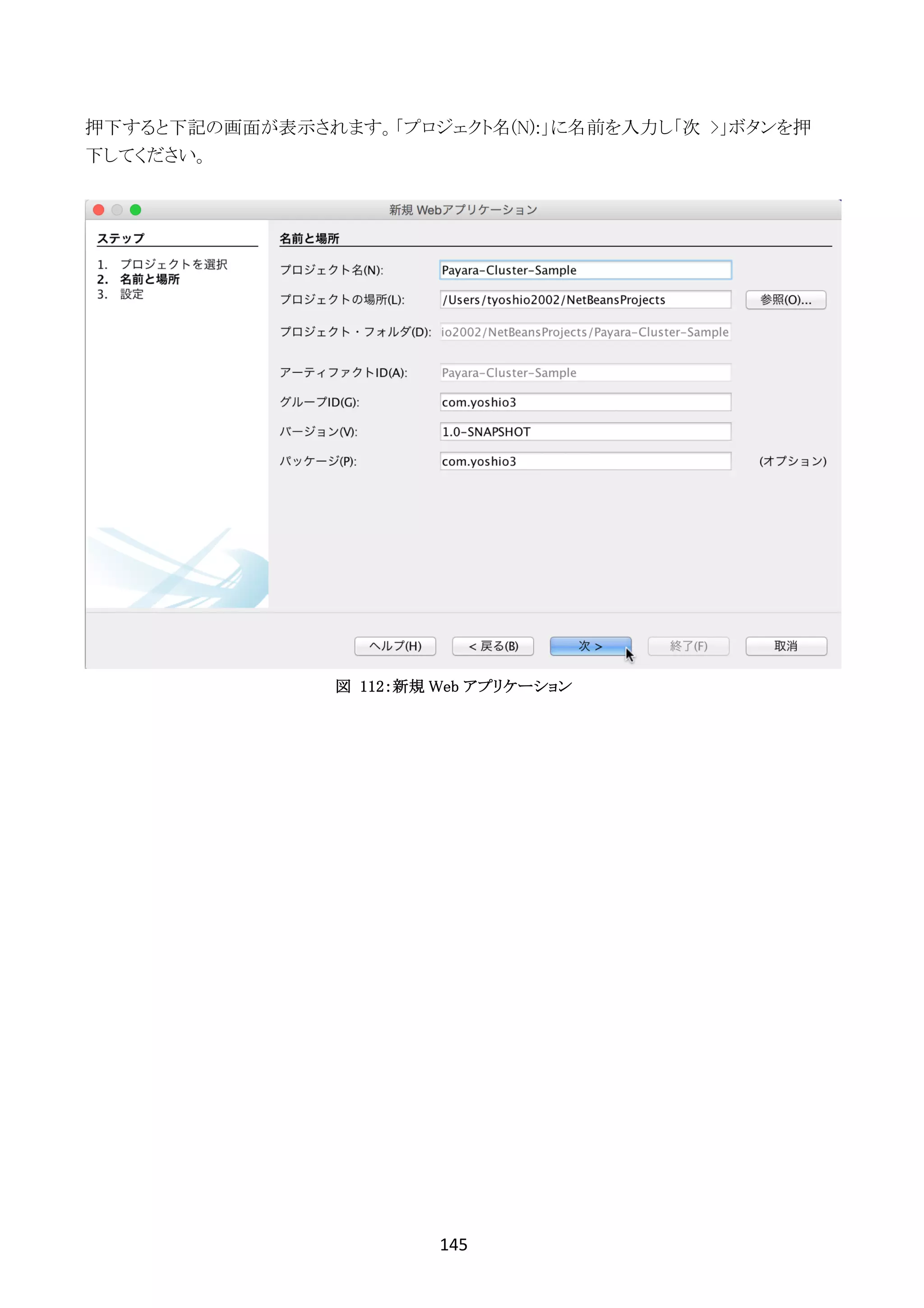 145	
	
押下すると下記の画面が表示されます。「プロジェクト名(N):」に名前を入力し「次 >」ボタンを押
下してください。
図 112：新規 Web アプリケーション
 