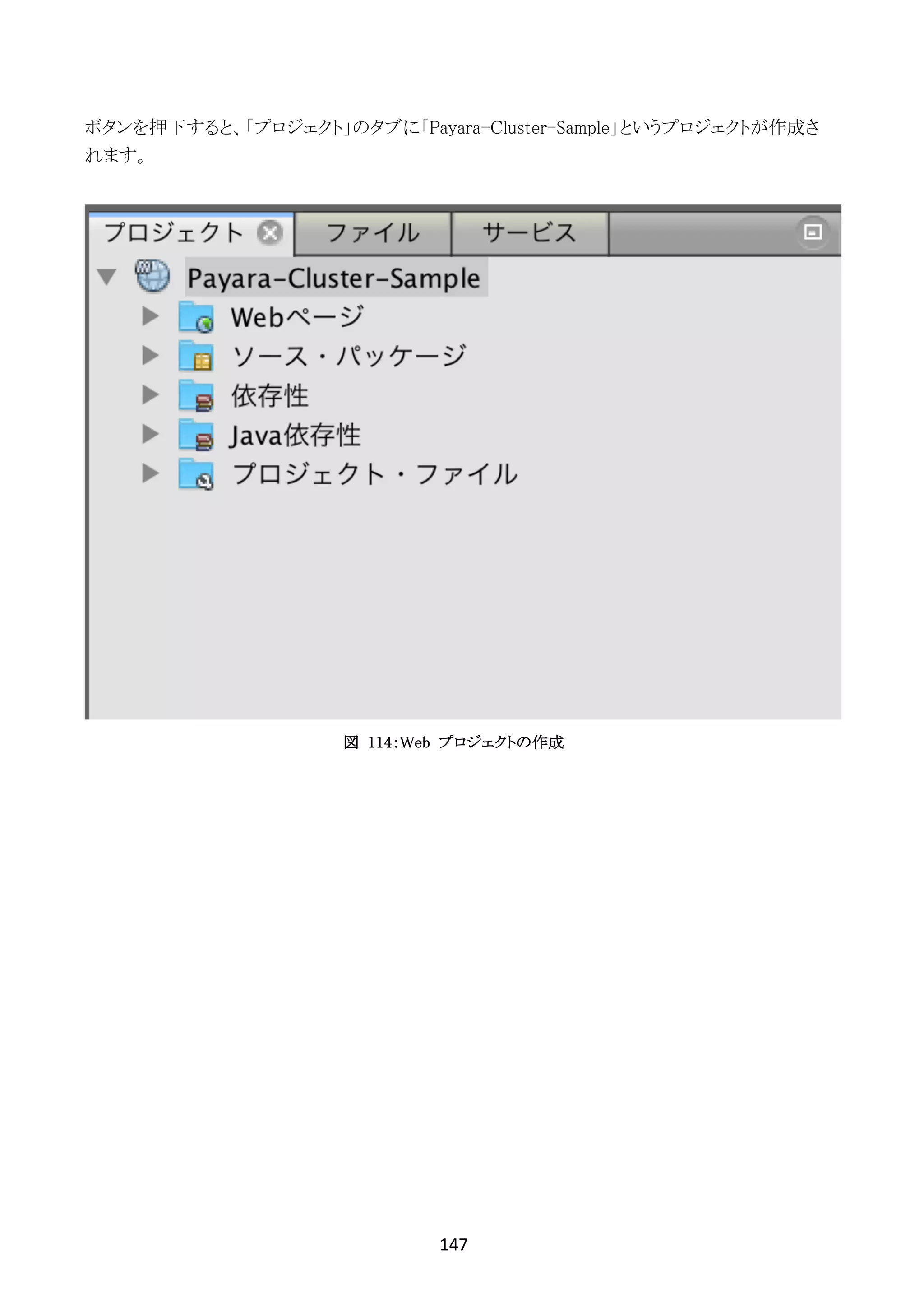 147	
	
ボタンを押下すると、「プロジェクト」のタブに「Payara-Cluster-Sample」というプロジェクトが作成さ
れます。
図 114：Web プロジェクトの作成
 