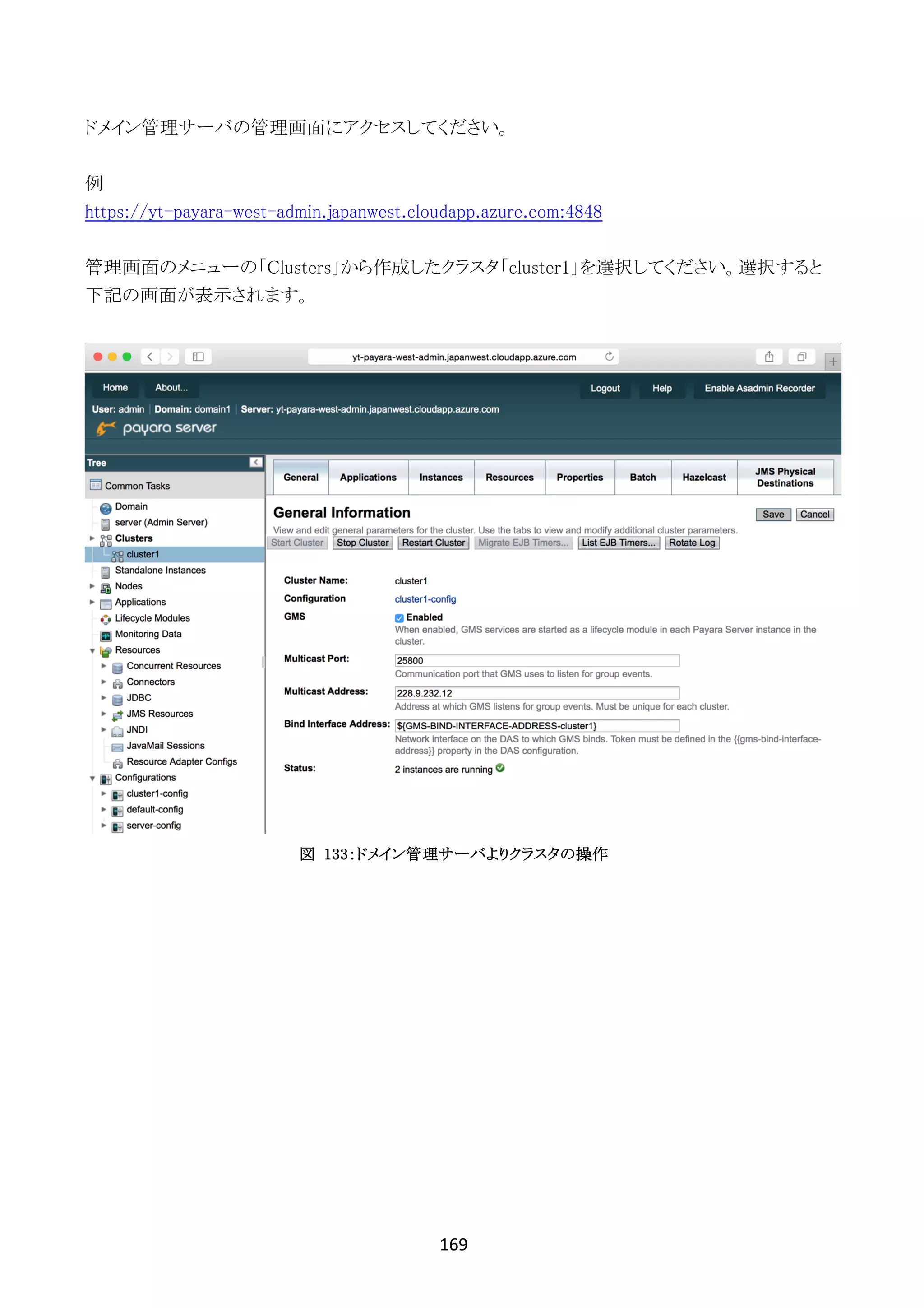 169	
	
ドメイン管理サーバの管理画面にアクセスしてください。
例
https://yt-payara-west-admin.japanwest.cloudapp.azure.com:4848
管理画面のメニューの「Clusters」から作成したクラスタ「cluster1」を選択してください。選択すると
下記の画面が表示されます。
図 133：ドメイン管理サーバよりクラスタの操作
 