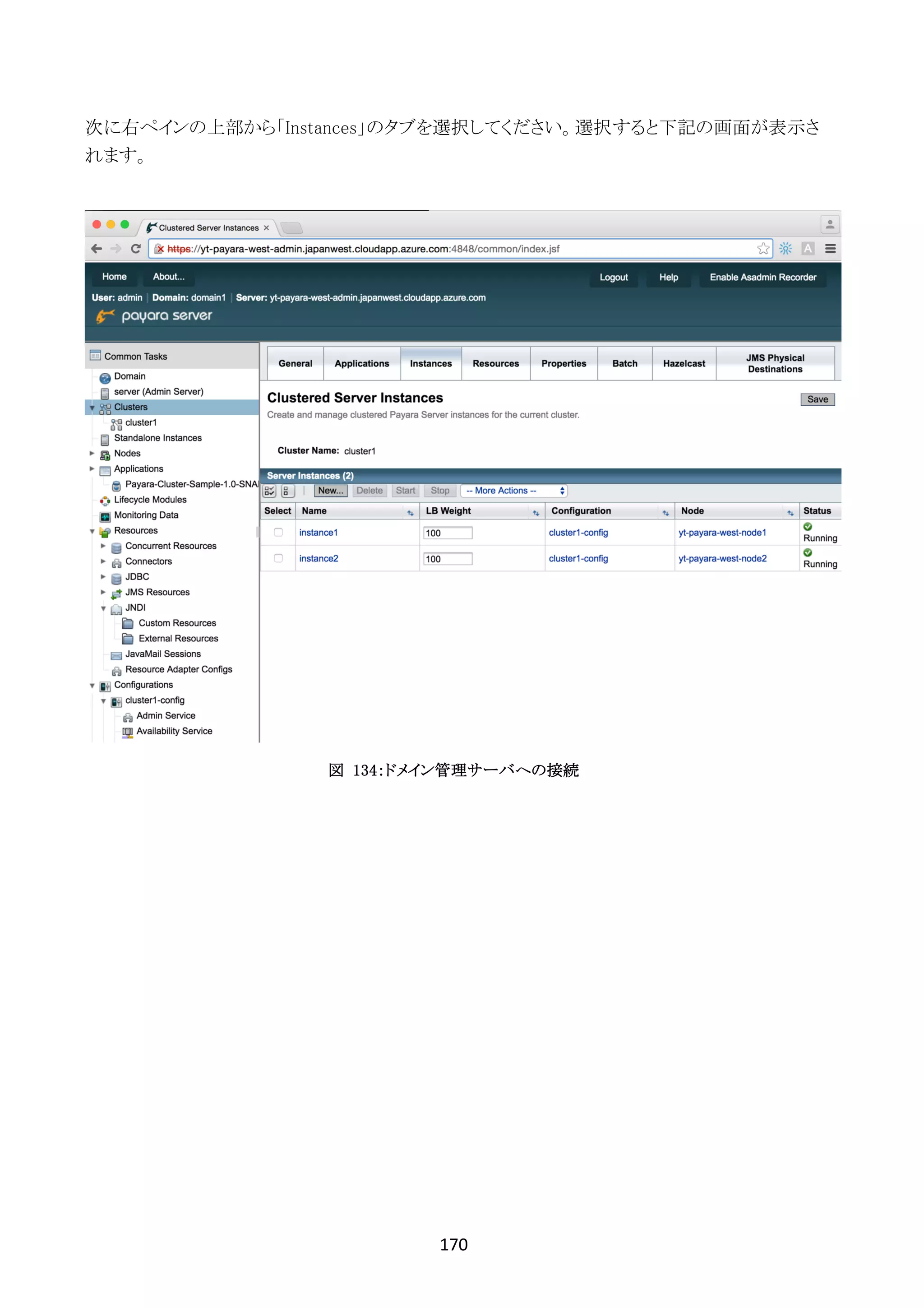 170	
	
次に右ペインの上部から「Instances」のタブを選択してください。選択すると下記の画面が表示さ
れます。
図 134：ドメイン管理サーバへの接続
 
