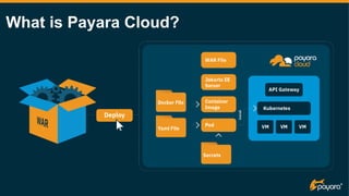 What is Payara Cloud?
 