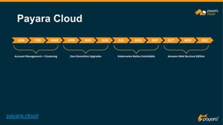 Payara Cloud
payara.cloud
 