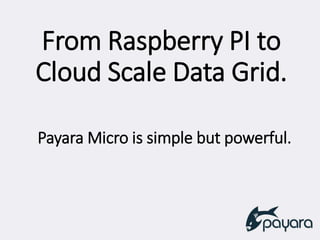 From Raspberry PI to
Cloud Scale Data Grid.
Payara Micro is simple but powerful.
 